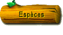  Espces